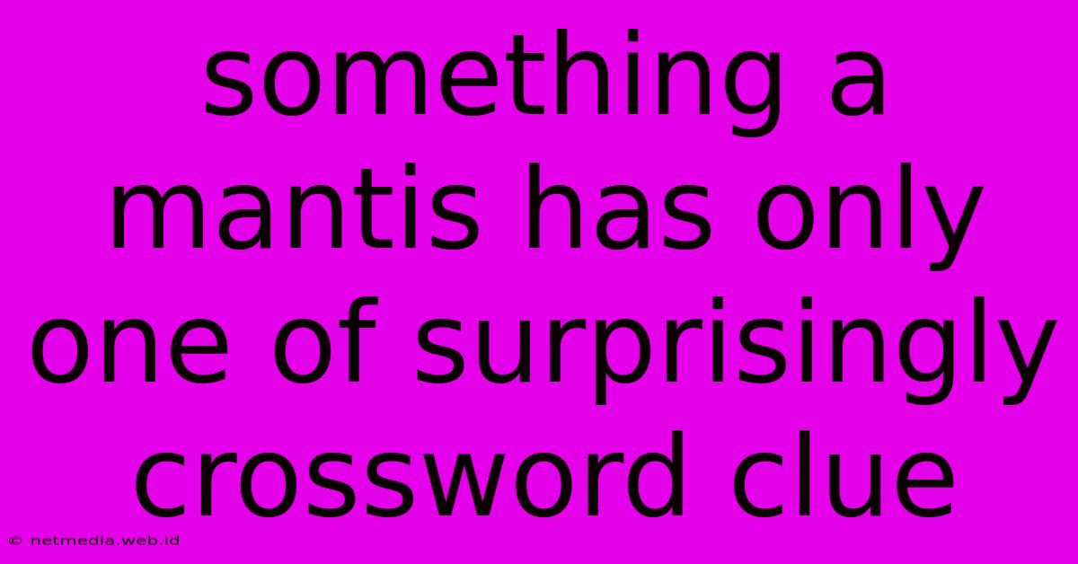 Something A Mantis Has Only One Of Surprisingly Crossword Clue