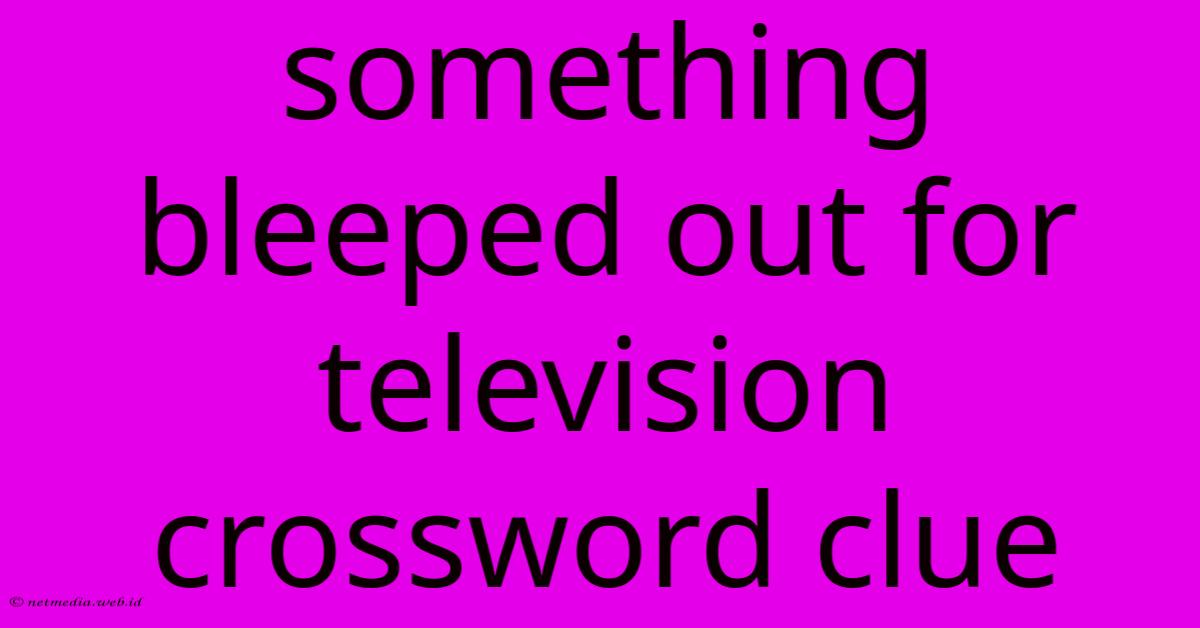 Something Bleeped Out For Television Crossword Clue Something Bleeped Out For Television Crossword Clue
