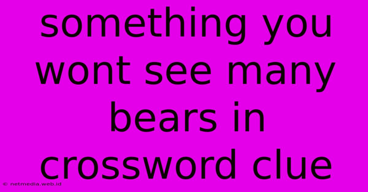 Something You Wont See Many Bears In Crossword Clue