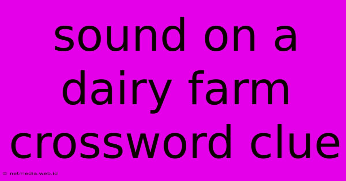 Sound On A Dairy Farm Crossword Clue