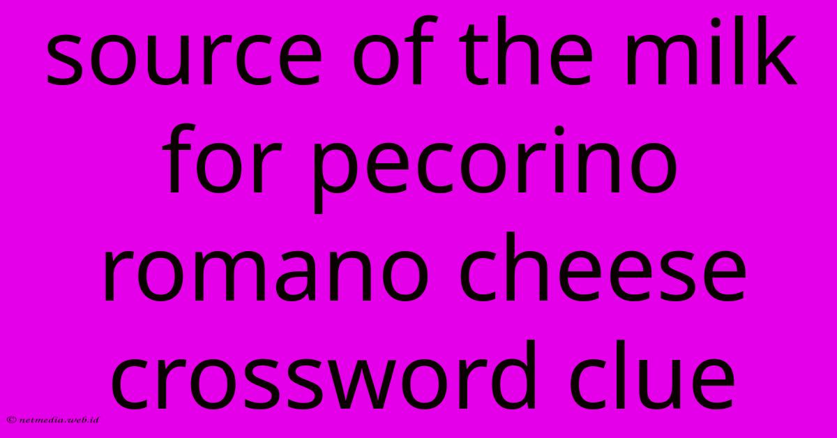 Source Of The Milk For Pecorino Romano Cheese Crossword Clue Source Of The Milk For Pecorino Romano Cheese Crossword Clue