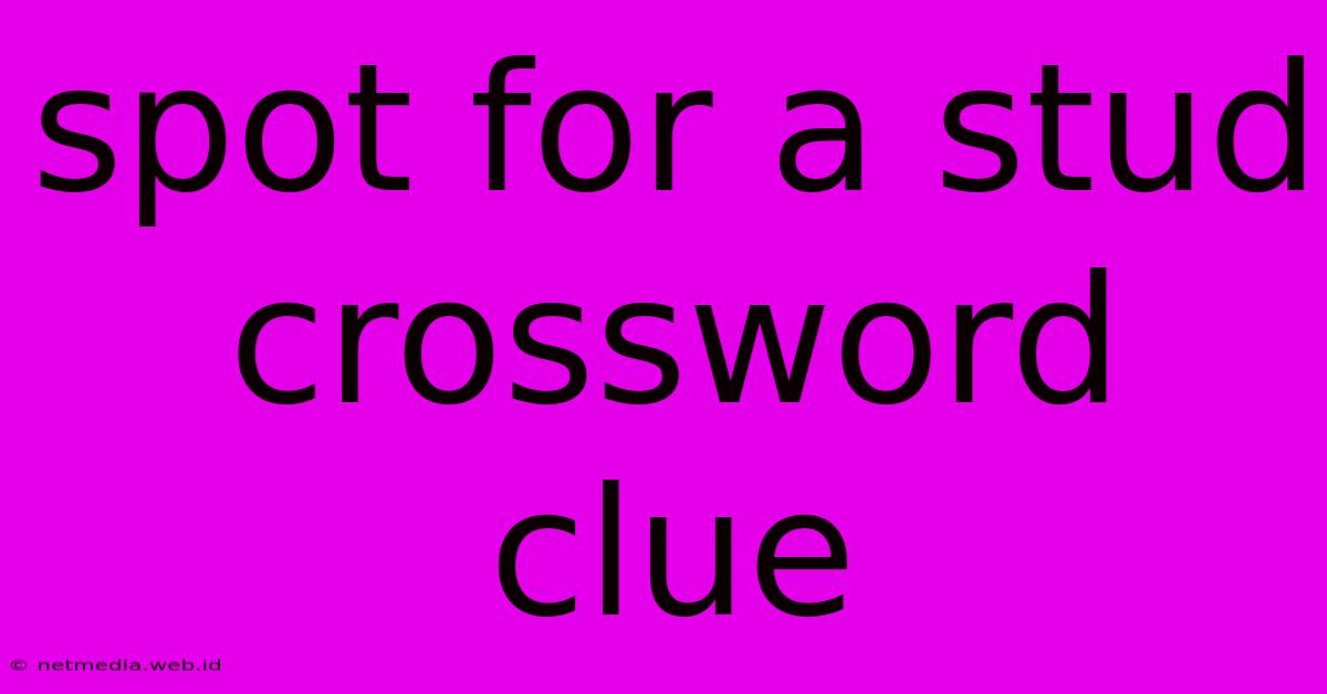 Spot For A Stud Crossword Clue