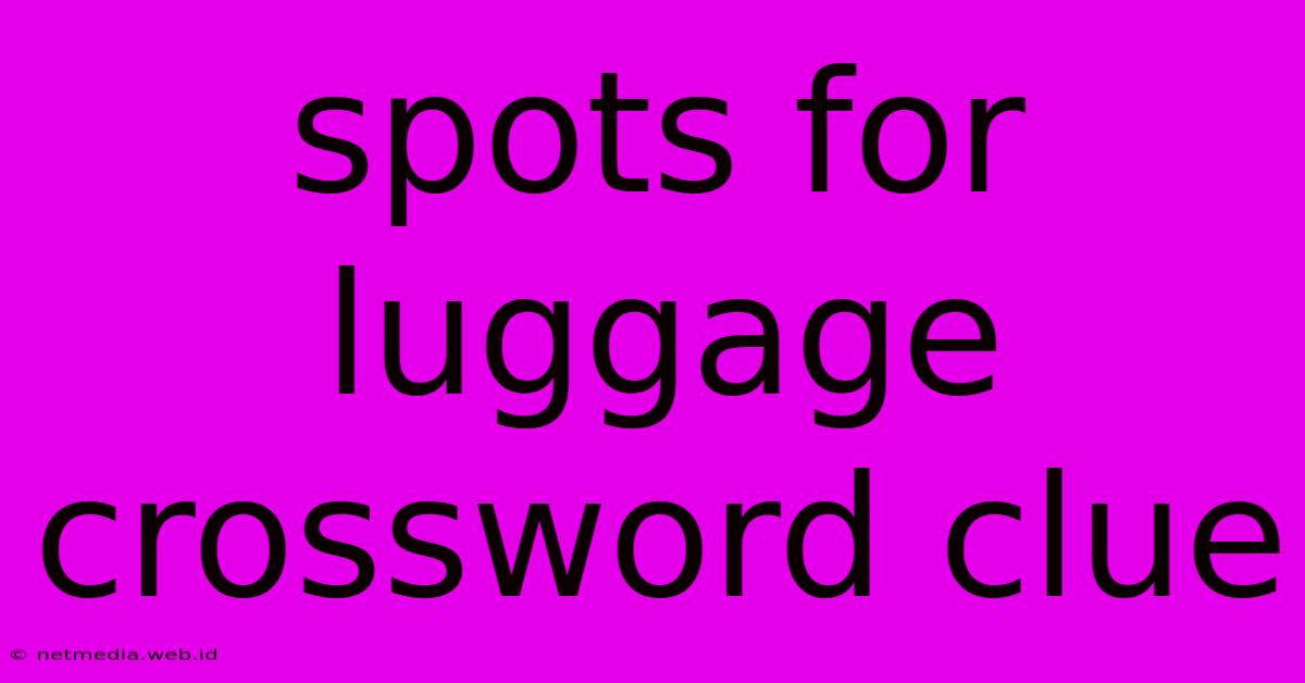 Spots For Luggage Crossword Clue