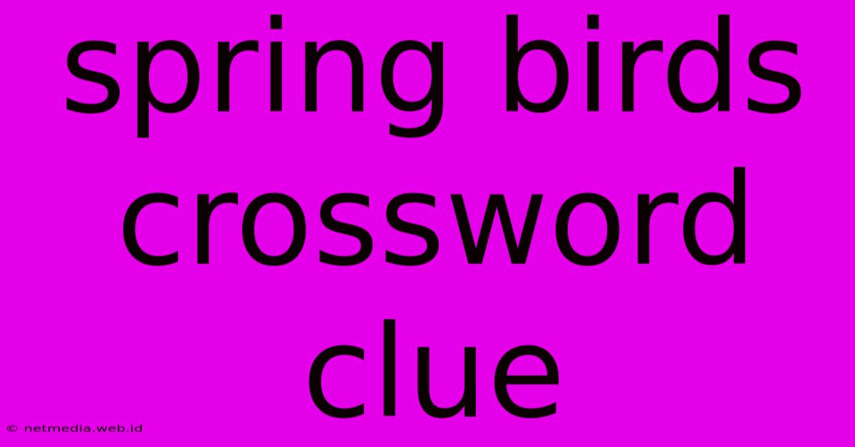 Spring Birds Crossword Clue