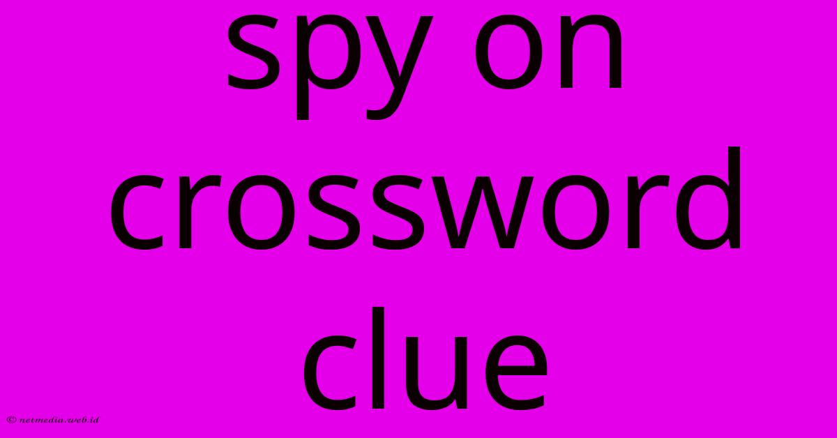 Spy On Crossword Clue