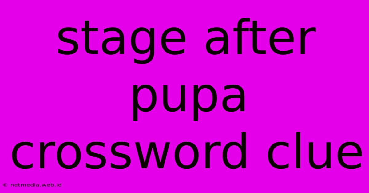 Stage After Pupa Crossword Clue