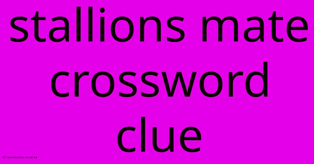 Stallions Mate Crossword Clue