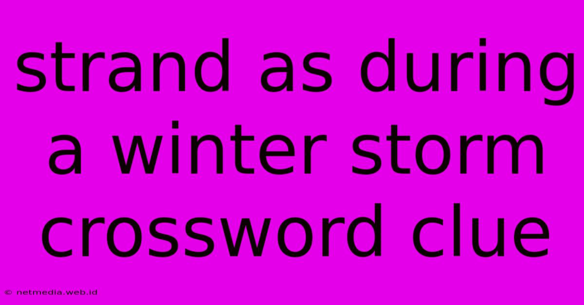 Strand As During A Winter Storm Crossword Clue