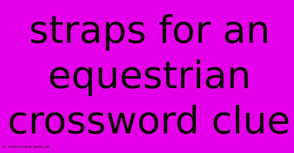 Straps For An Equestrian Crossword Clue