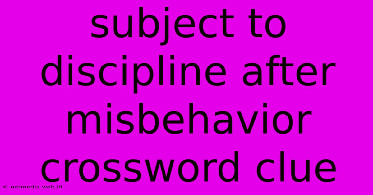 Subject To Discipline After Misbehavior Crossword Clue