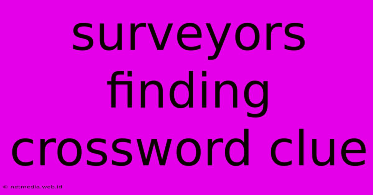 Surveyors Finding Crossword Clue