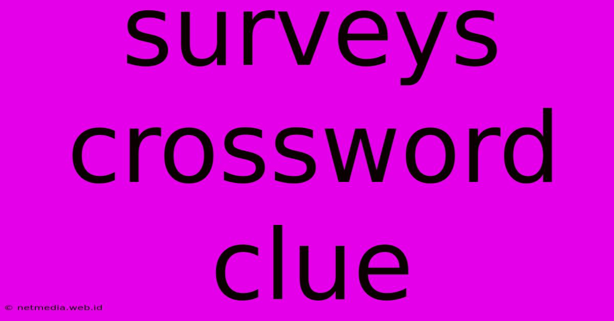 Surveys Crossword Clue