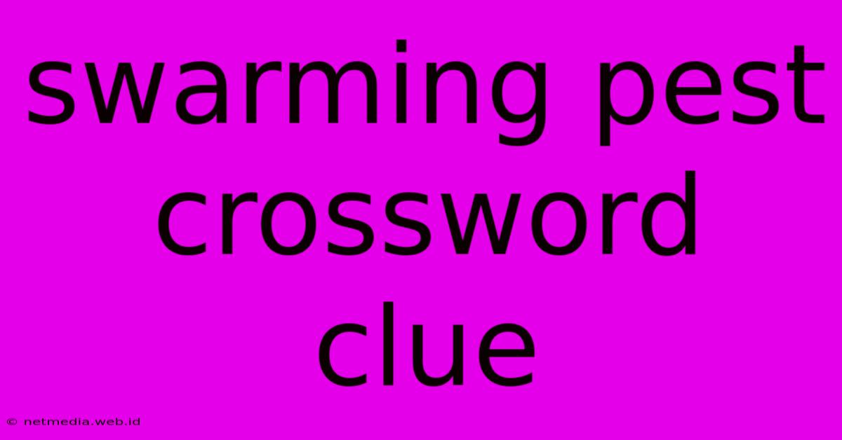 Swarming Pest Crossword Clue