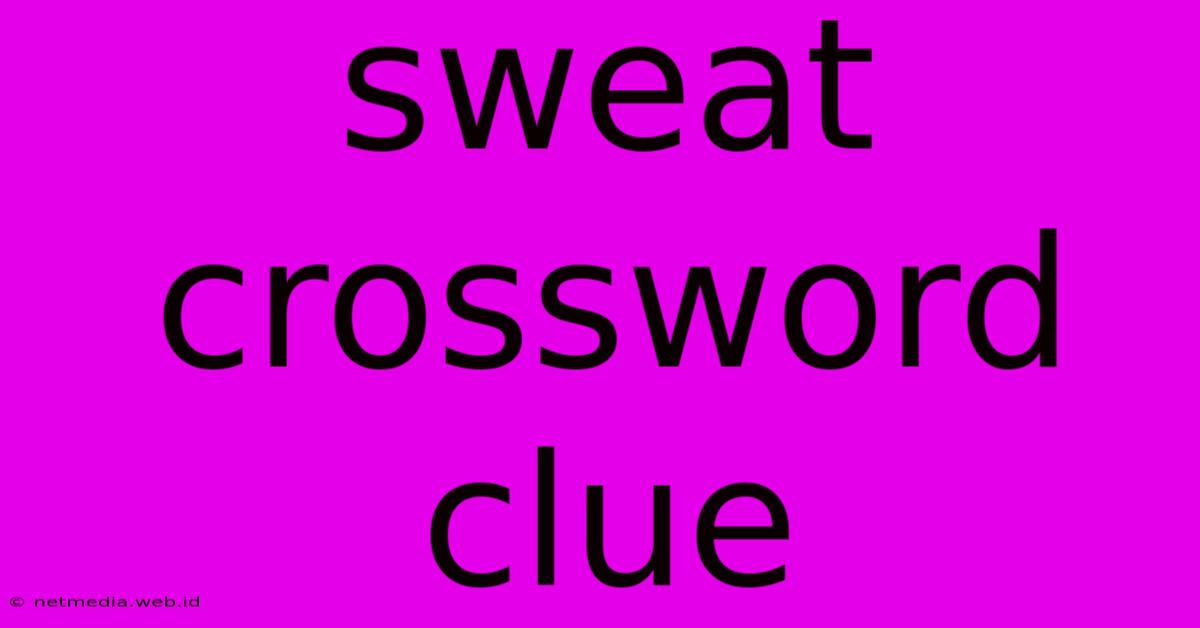 Sweat Crossword Clue