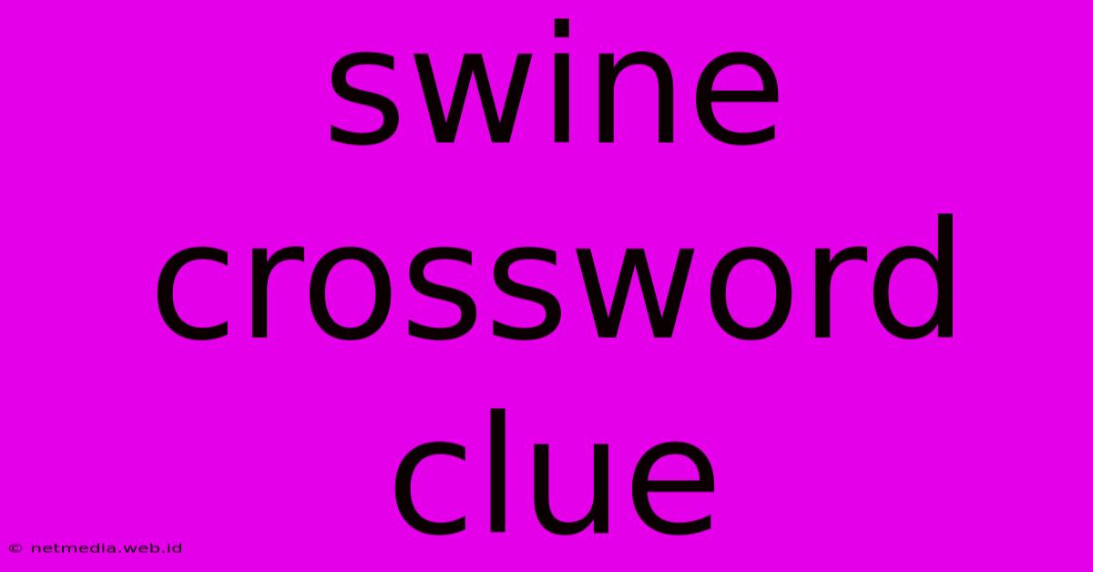 Swine Crossword Clue