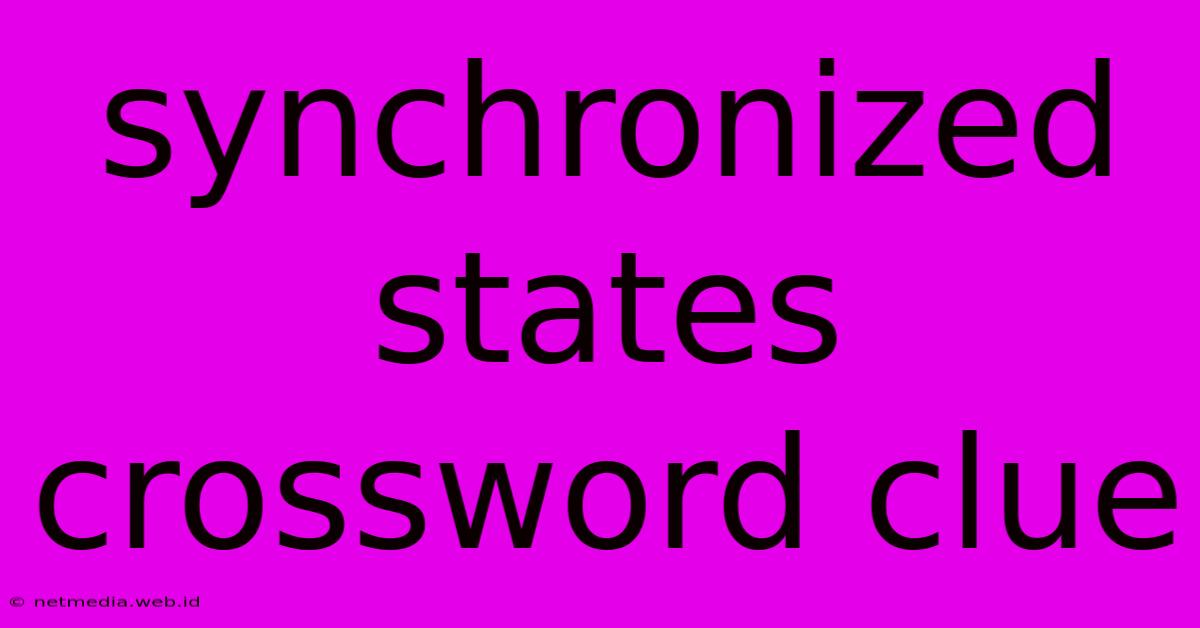 Synchronized States Crossword Clue