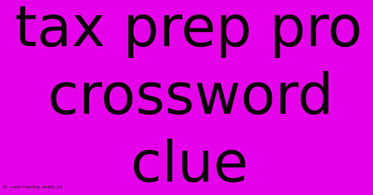 Tax Prep Pro Crossword Clue