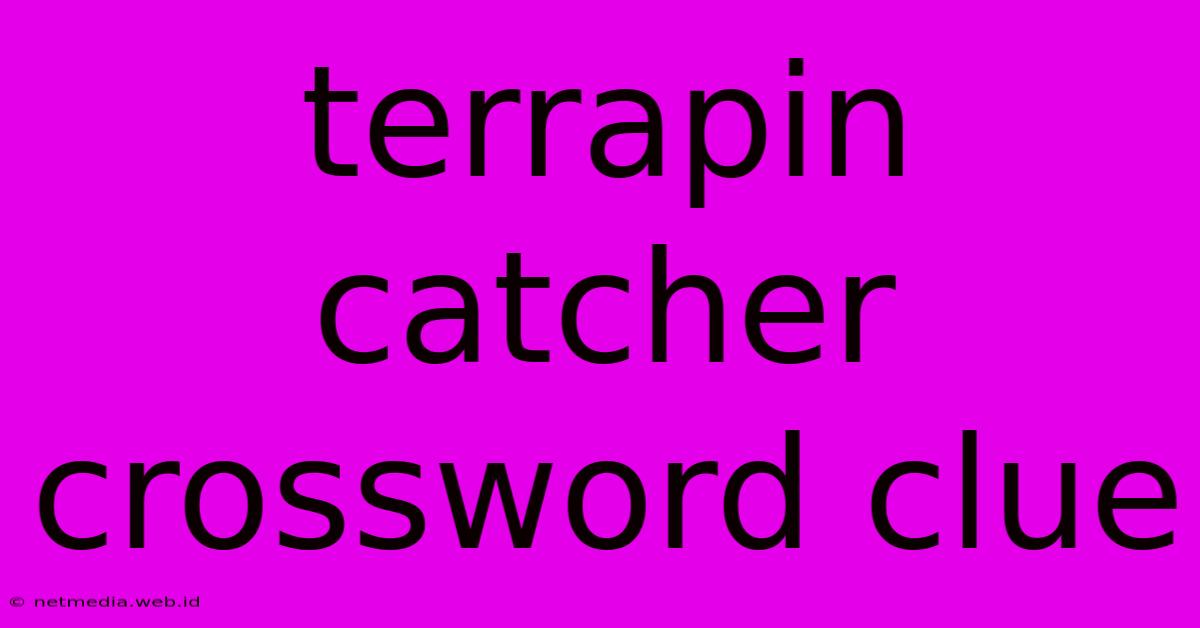 Terrapin Catcher Crossword Clue