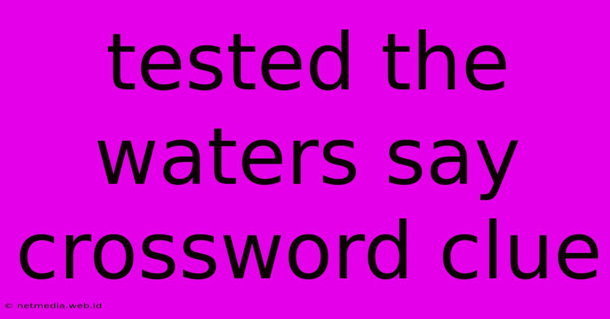 Tested The Waters Say Crossword Clue