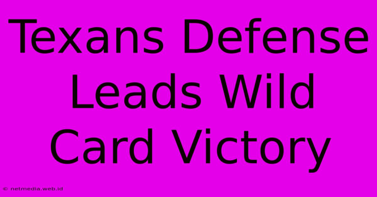 Texans Defense Leads Wild Card Victory