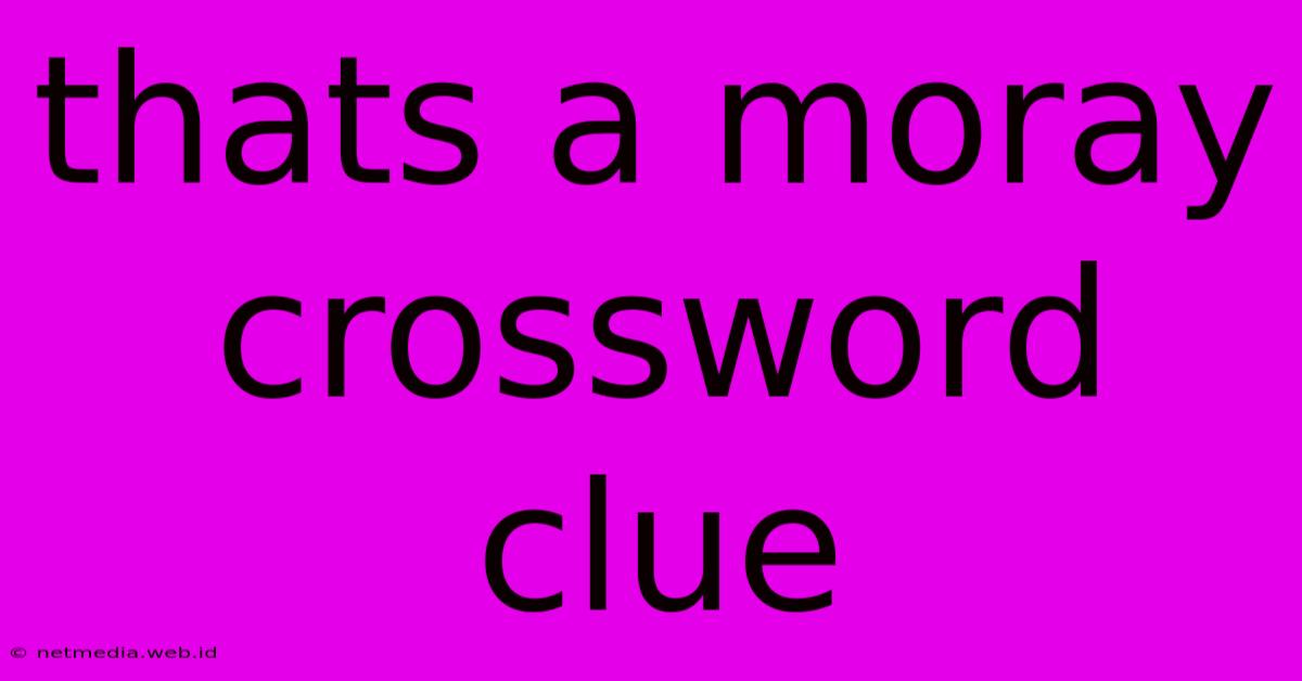 Thats A Moray Crossword Clue