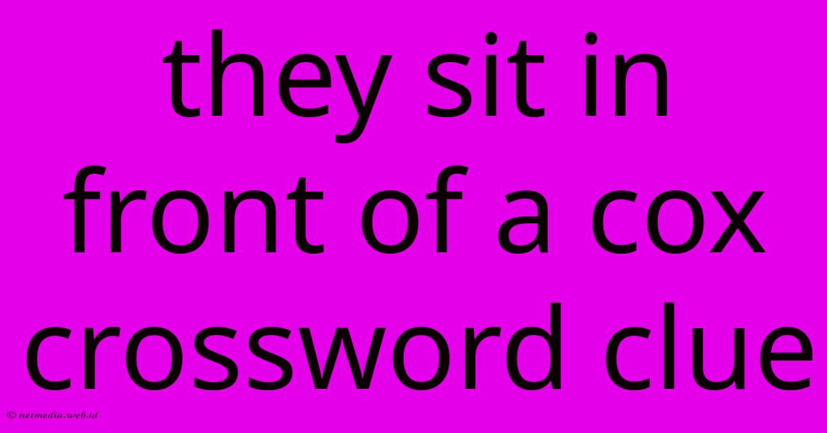They Sit In Front Of A Cox Crossword Clue They Sit In Front Of A Cox Crossword Clue
