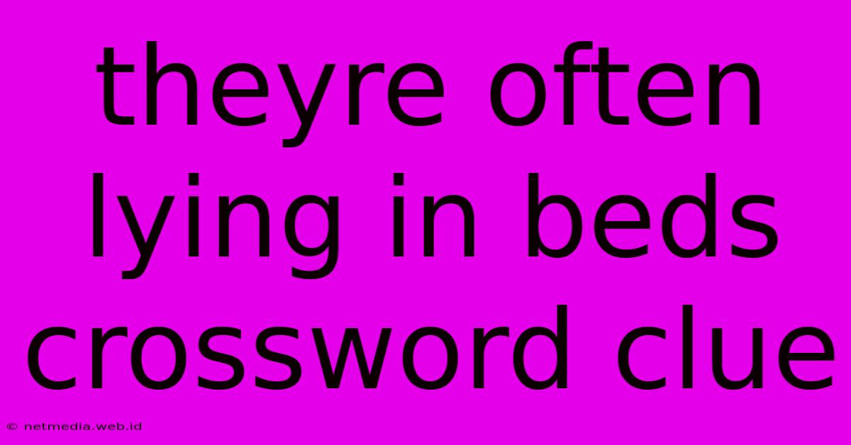 Theyre Often Lying In Beds Crossword Clue