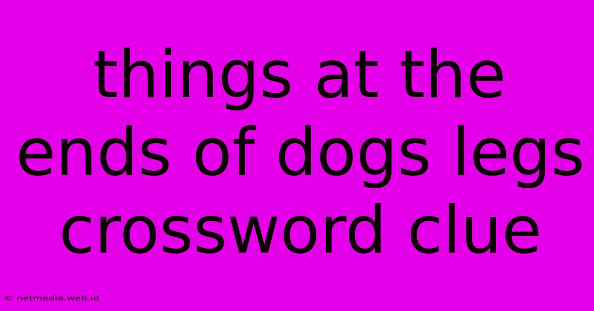 Things At The Ends Of Dogs Legs Crossword Clue