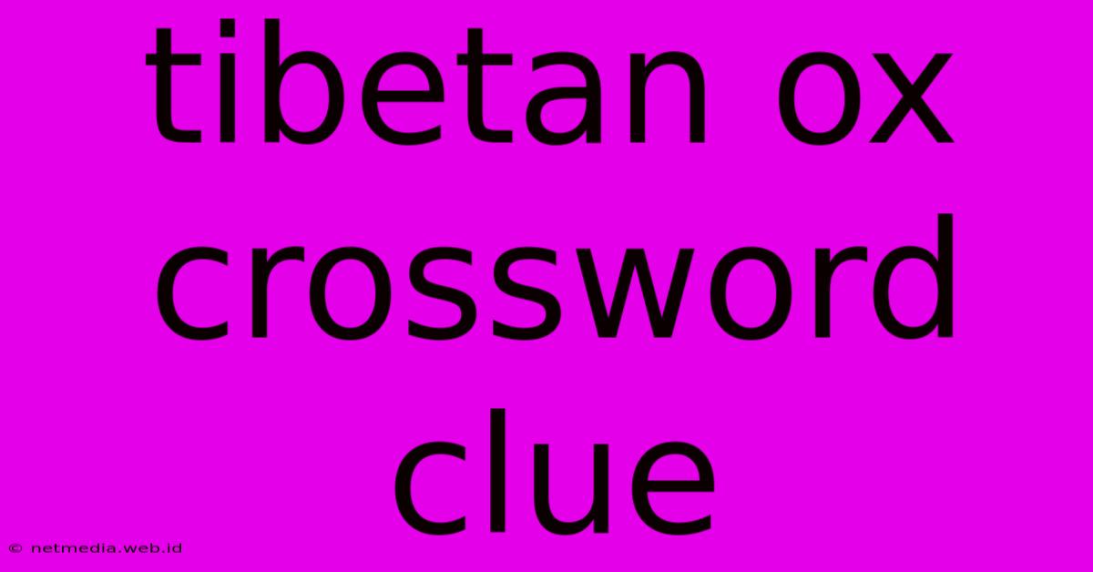 Tibetan Ox Crossword Clue