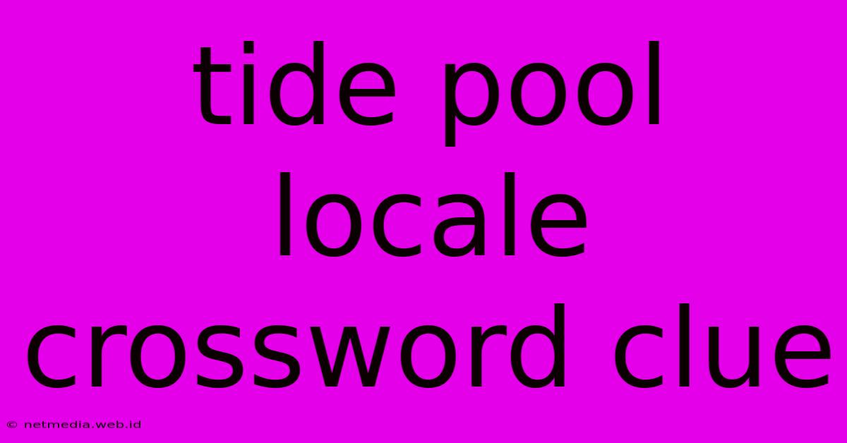 Tide Pool Locale Crossword Clue