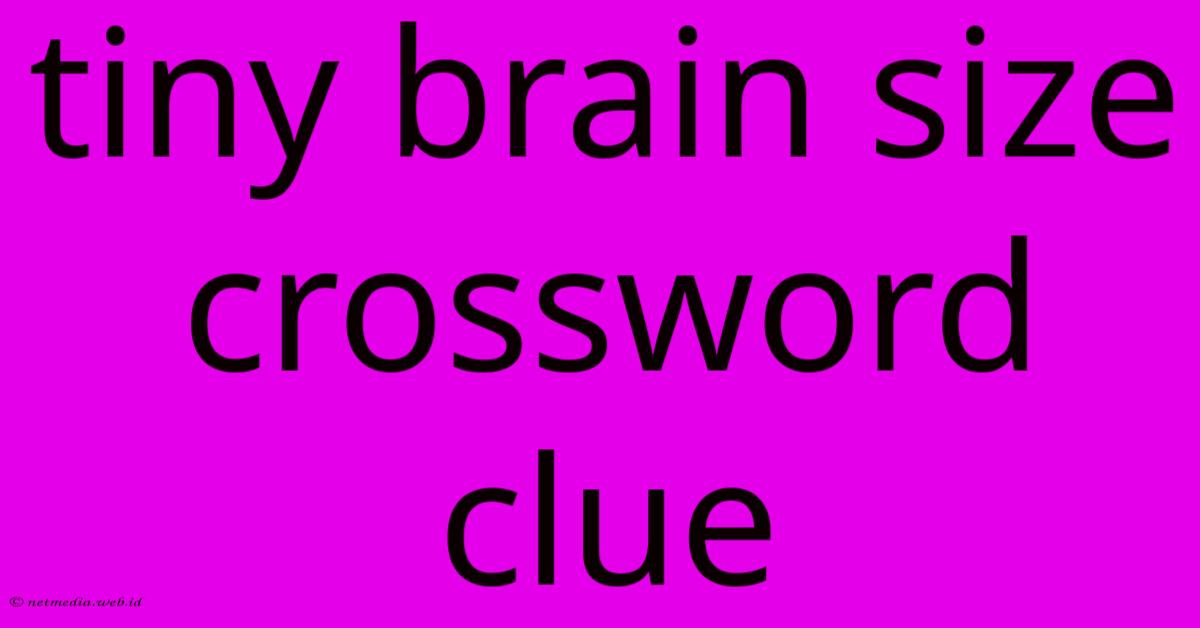 Tiny Brain Size Crossword Clue Tiny Brain Size Crossword Clue