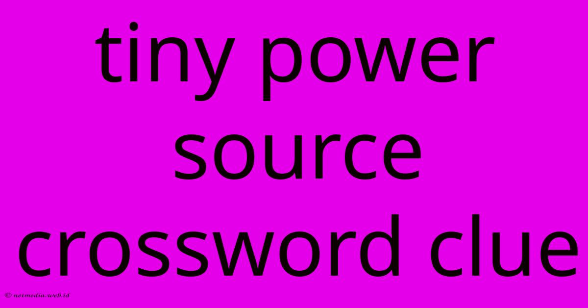 Tiny Power Source Crossword Clue Tiny Power Source Crossword Clue