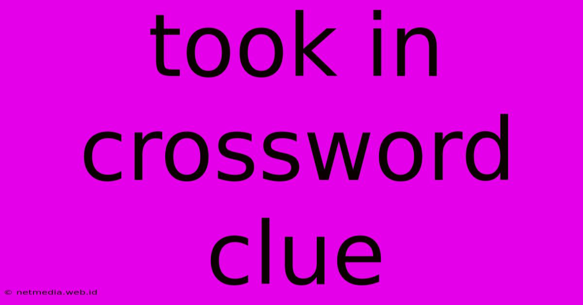 Took In Crossword Clue