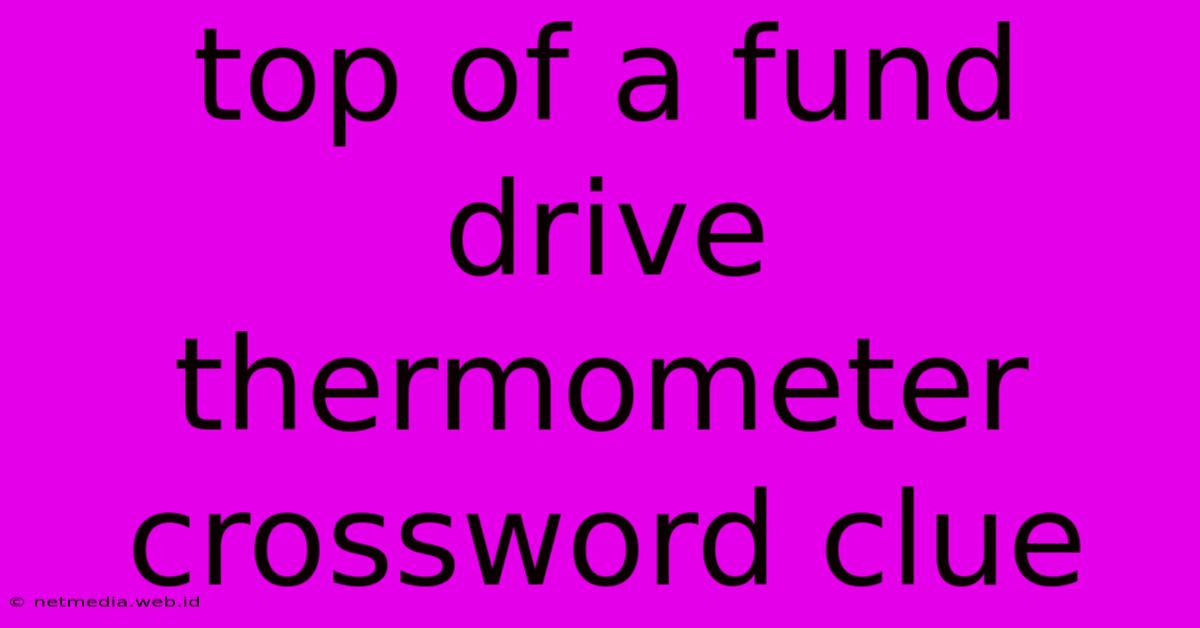 Top Of A Fund Drive Thermometer Crossword Clue