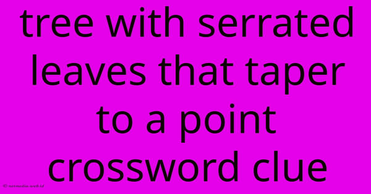 Tree With Serrated Leaves That Taper To A Point Crossword Clue