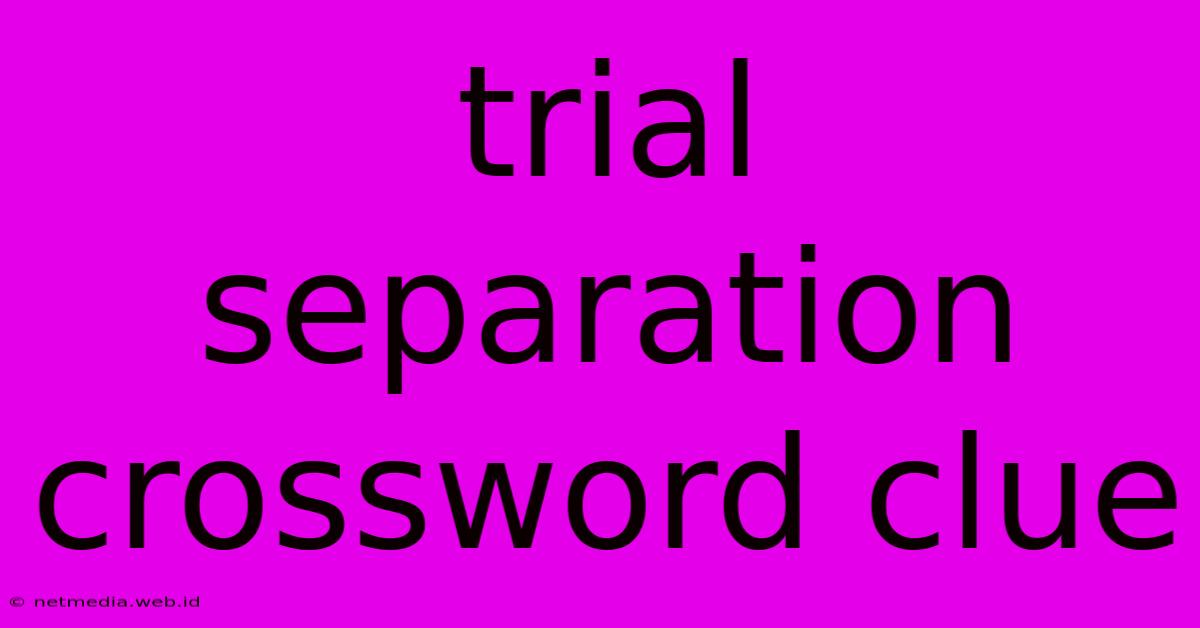 Trial Separation Crossword Clue