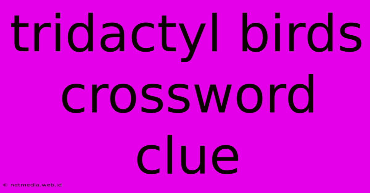 Tridactyl Birds Crossword Clue