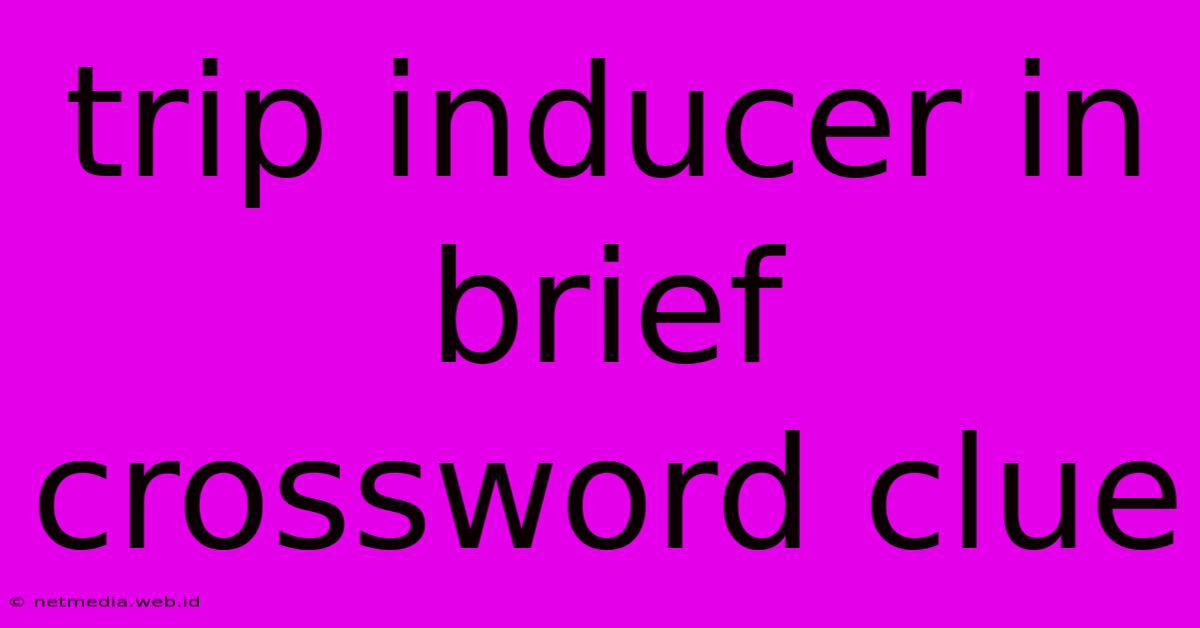 Trip Inducer In Brief Crossword Clue