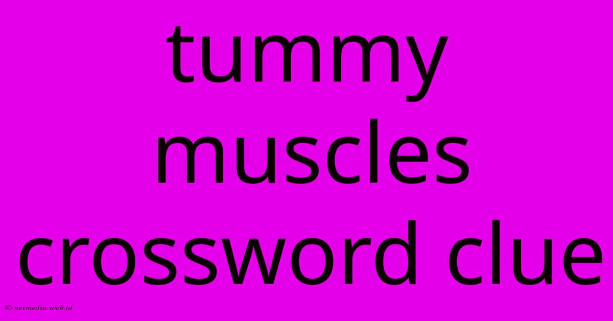 Tummy Muscles Crossword Clue Tummy Muscles Crossword Clue