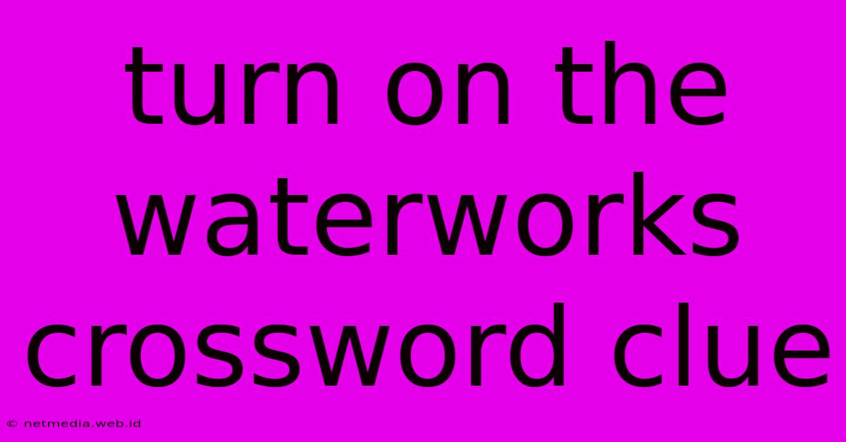 Turn On The Waterworks Crossword Clue