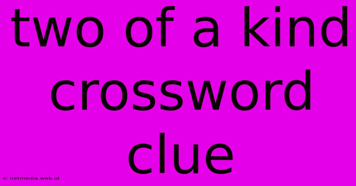 Two Of A Kind Crossword Clue