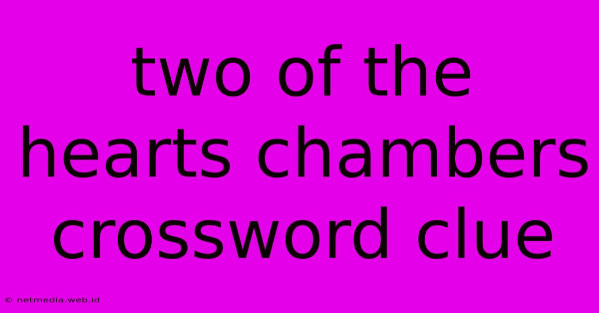 Two Of The Hearts Chambers Crossword Clue