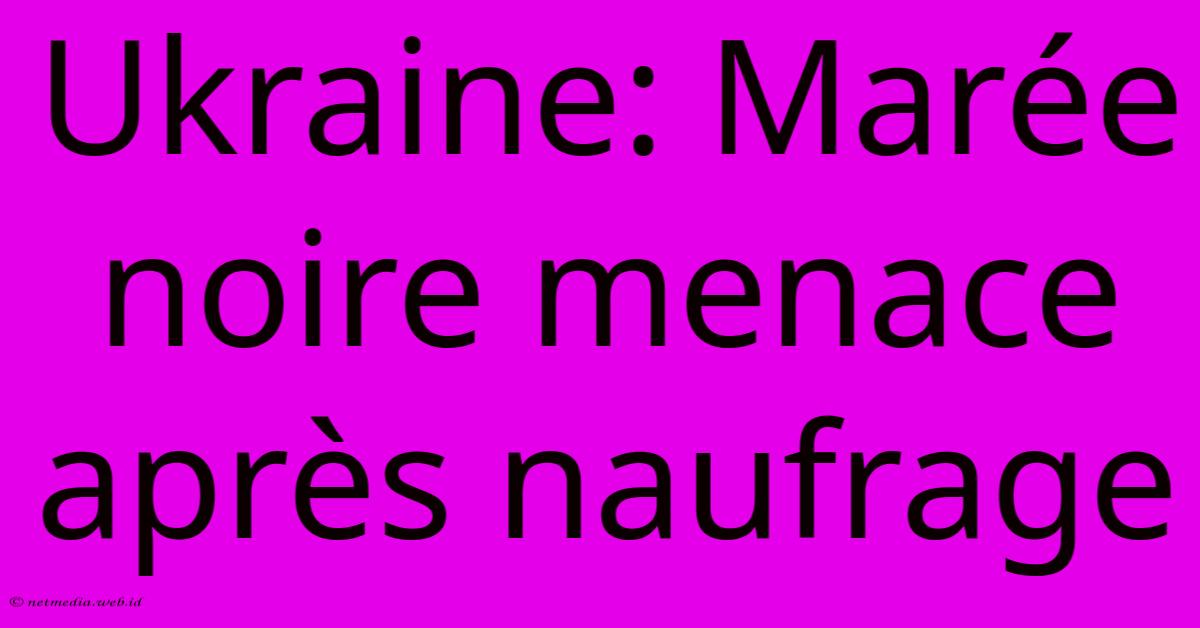 Ukraine: Marée Noire Menace Après Naufrage Ukraine: Marée Noire Menace Après Naufrage