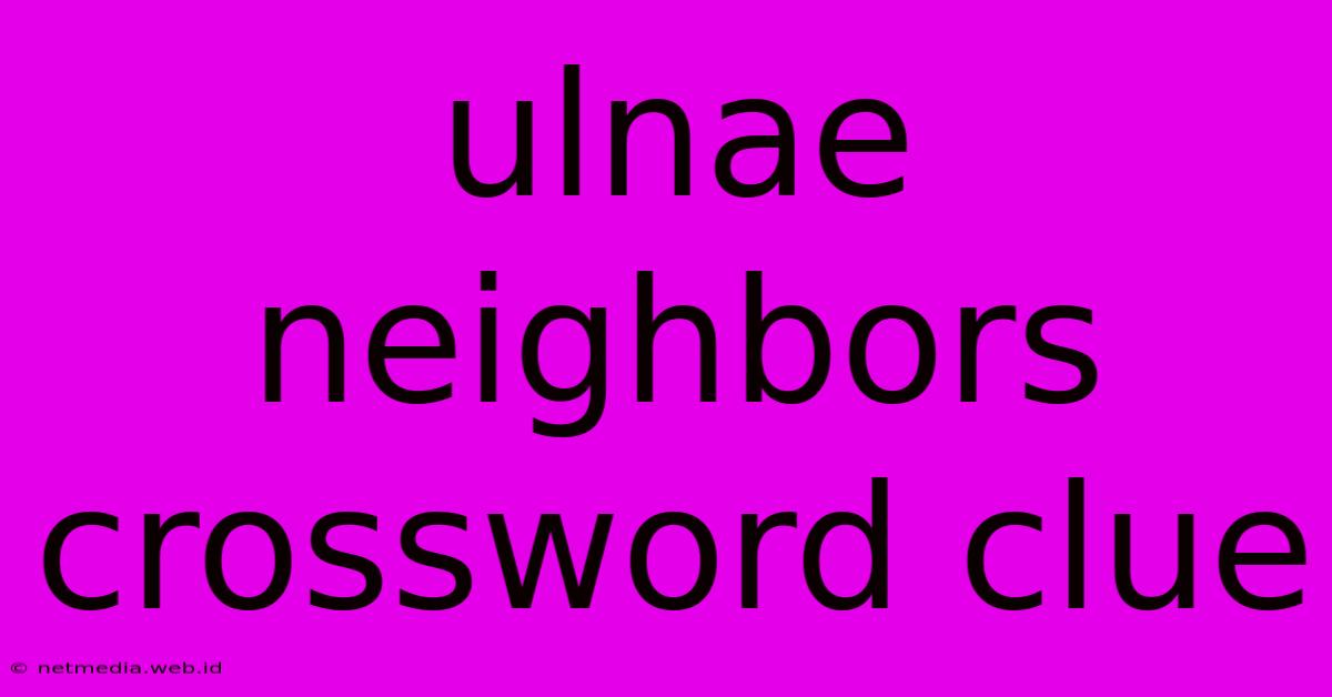 Ulnae Neighbors Crossword Clue