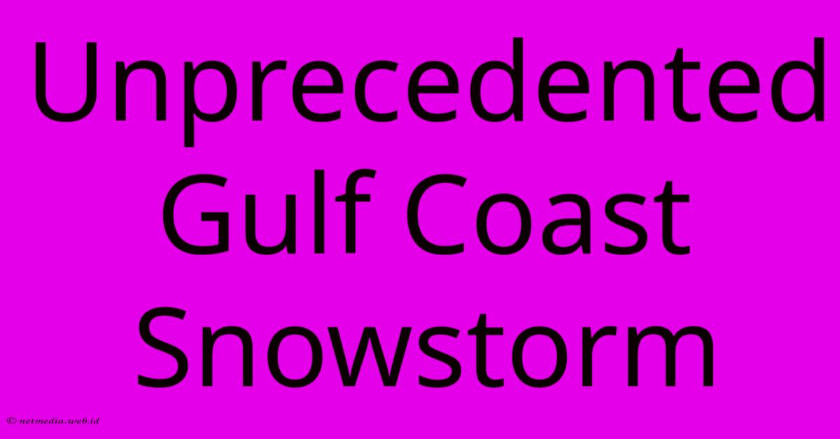 Unprecedented Gulf Coast Snowstorm