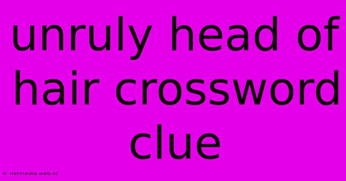 Unruly Head Of Hair Crossword Clue