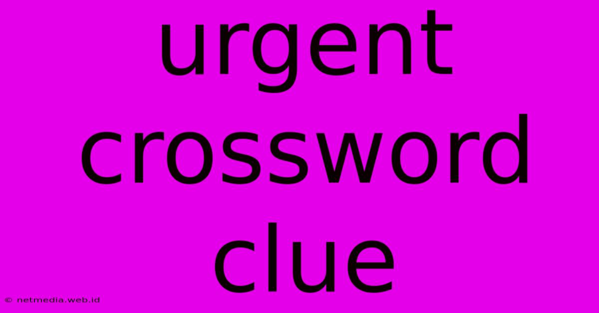 Urgent Crossword Clue