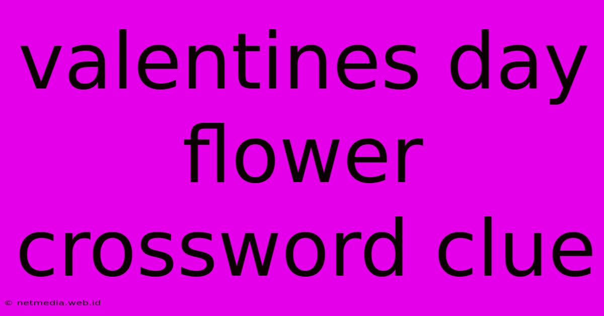 Valentines Day Flower Crossword Clue