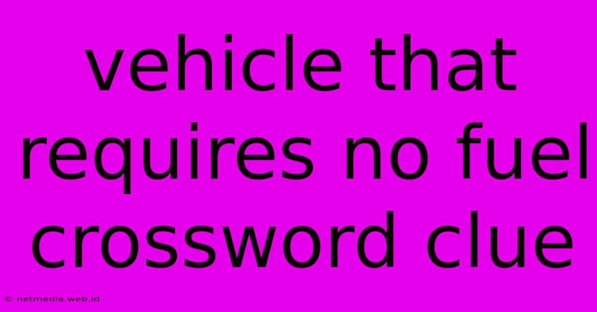 Vehicle That Requires No Fuel Crossword Clue