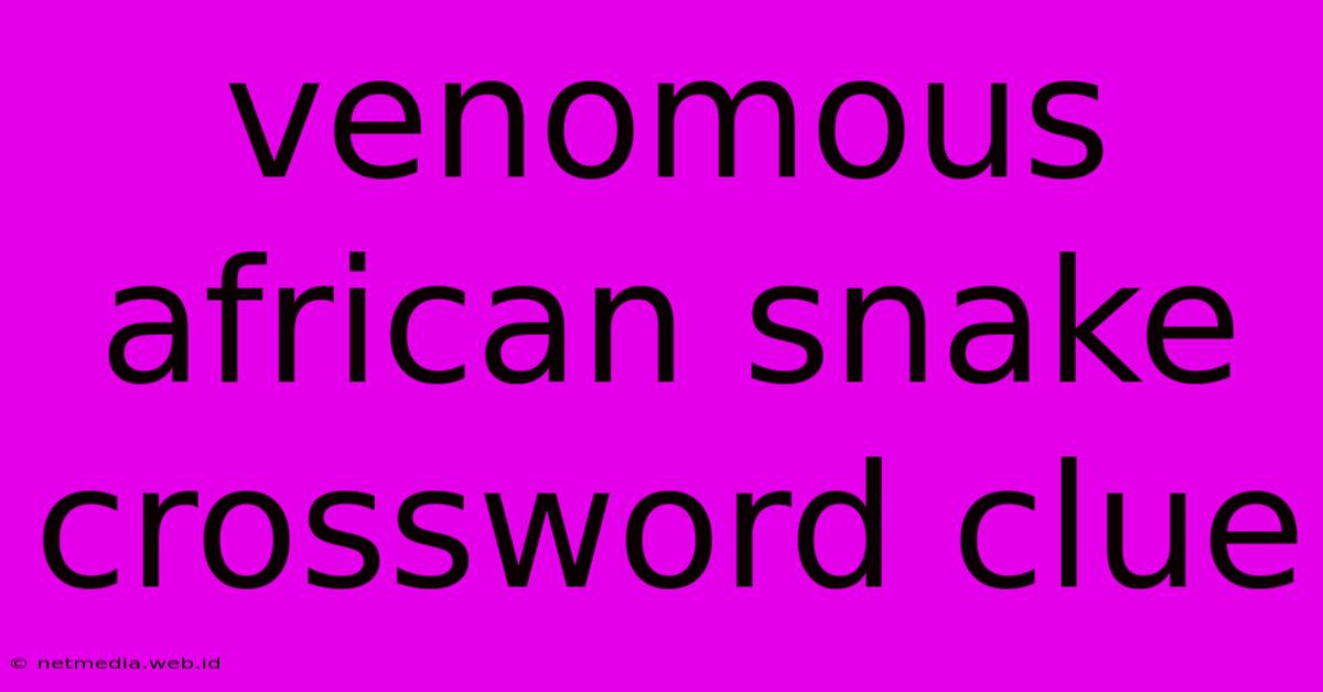 Venomous African Snake Crossword Clue